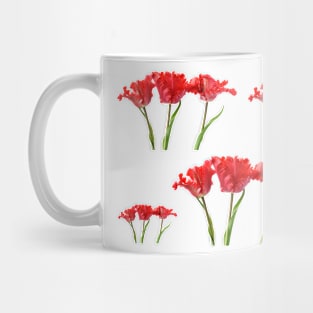 Tulipa  &#39;Garden Fire&#39;   Parrot Tulip Mug